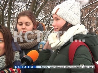 Стая уток нашла укромное место для зимовки