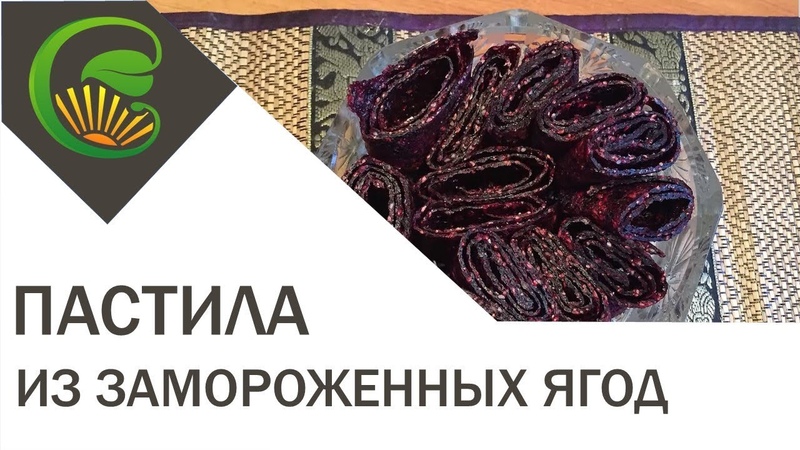 Ягодная пастила в домашних условиях. Цветы из пастилы. Пастила фруктовая клубника. Смородиновая пастила. Пастила из сливы в электросушилке.