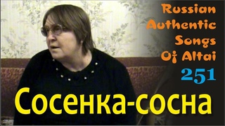 Сосенка-сосна. Русские песни Алтая. Сибирячиха. Русские традиции. Russian authentic songs Altai-251