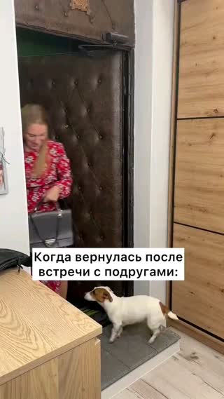 Клипы Жизнь собачья