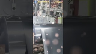 XZY#suitable for#PP#Recyclable #Packing box#medical storage roll#extruder #production line P3#fyp