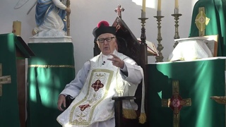 1563-Un cargo eclesiastico que se pierde. Razonamiento teolgico necesario. Limpias en la Iglesia