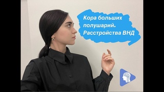 Кора больших полушарий. Расстройства ВНД.
