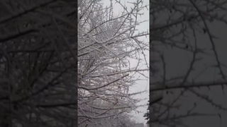 Смотрите, снежок пошла, скоро джингл-беллс будет