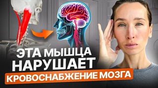 Нарушение кровоснабжения мозга, боль в шее, шум в ушах и плохая память Делай ЭТИ упражнения