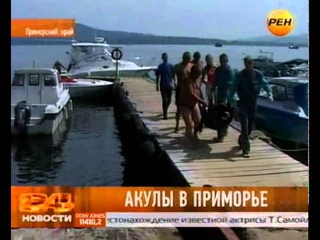 Акулы нападают в Приморье