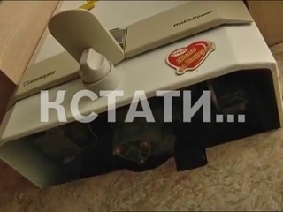 Бездействие коммунальщиков отправило семью из 3х человек в реанимацию
