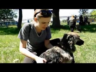 Выгул собак 6 мая 2017 г часть 1