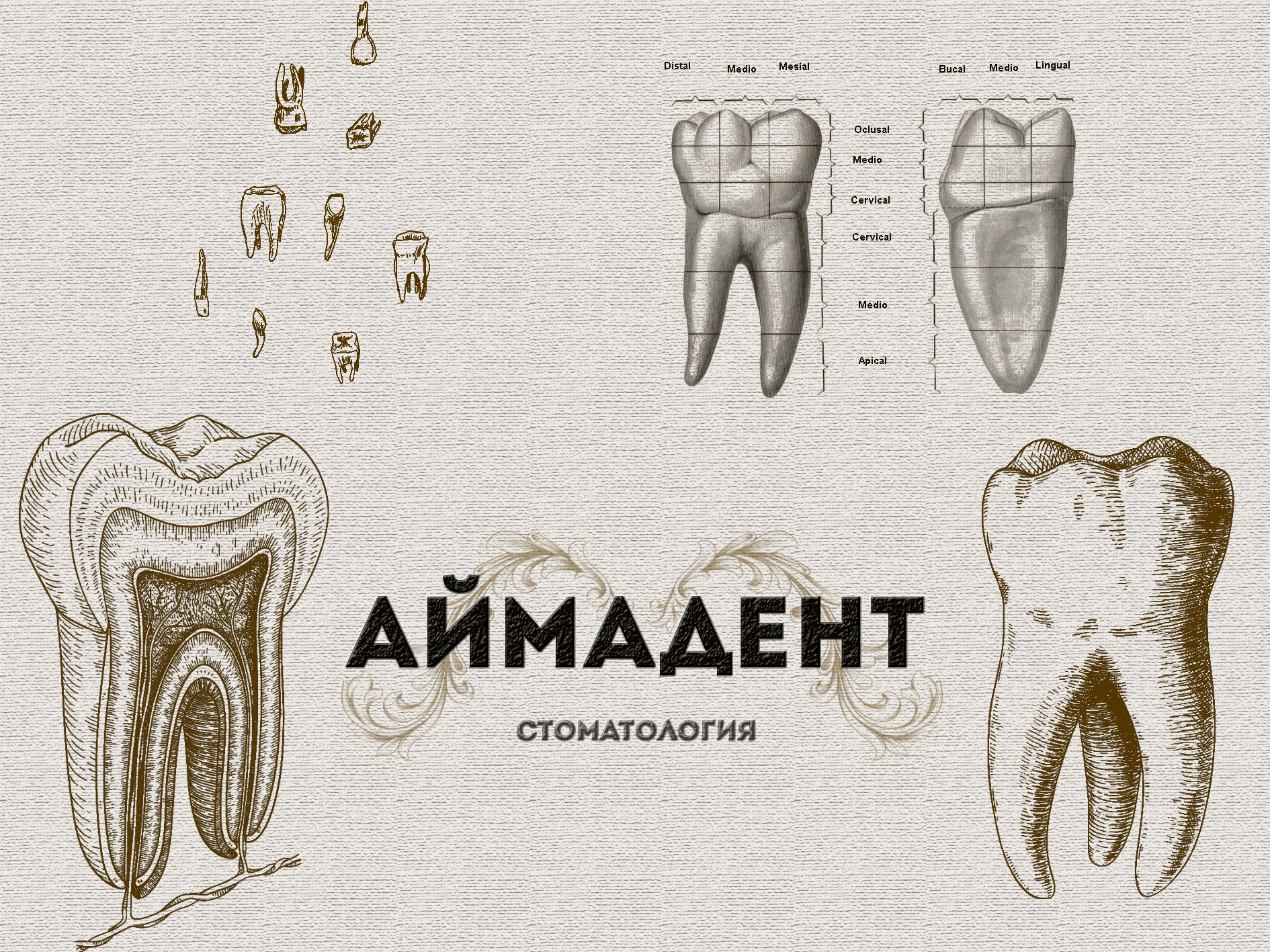 Стоматология Аймадент