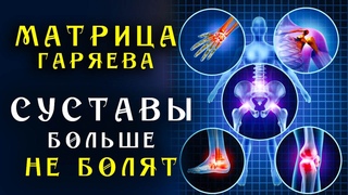 Матрица Гаряева для Всех Суставов  Универсальная Помощь для Суставов Всего Тела