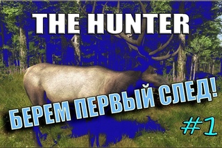 Поиграем в The Hunter #1 - Берём первый след!