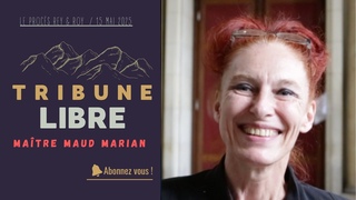 Le procs Natacha Rey et Amandine Roy / Brigitte Macron et Jean-Michel Trogneux | Matre Maud Marian