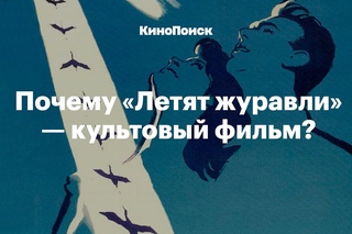 Почему фильм «Летят журавли» — культовый?