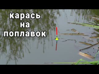 ЛОВЛЯ КАРАСЯ ВЕСНОЙ НА РЕКЕ!!! Рыбалка на поплавок в апреле 2024