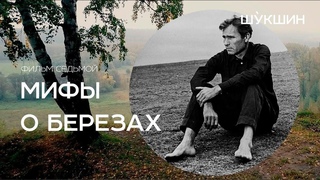 Шукшин (фильм седьмой). Мифы о берёзах.