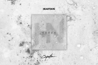 HEARTSKIN x CVPELLV - Пепел