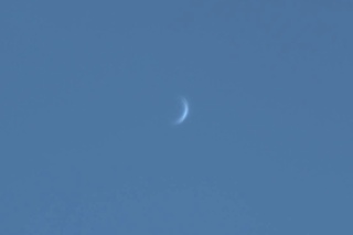 Venus at daylight, 13\03\2017, 11:50