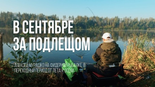 Ловля подлещика на водохранилище на фидер: Между летом и осенью