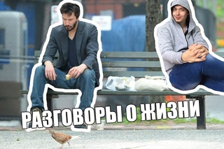 Разговоры о жизни