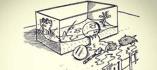 выберись из реальности. квест сталкер клаустрофобия. квест. пространство для фотосессии.