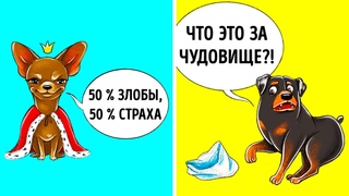 Что Ваша Собака Могла бы вам Сказать, Если бы Умела Говорить