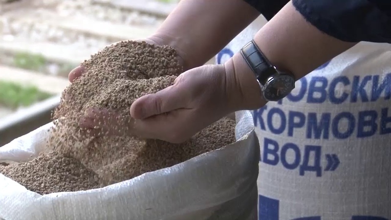 Комбикормовый завод комбикорм. Комбикормовый завод комбикорм. Комбикорм для кроликов богданович. Алькеевский комбикормовый завод. Комбикормовый завод миллерово.