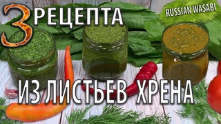3 РЕЦЕПТА из листьев хрена на зимуВитаминная приправа из хренаЗаготовка Хрен на зиму