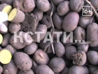 Смотрите сегодня на телеканале “Че“