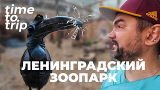 Обозрение зверей. Ленинградскии Зоопарк. Time To Trip Special