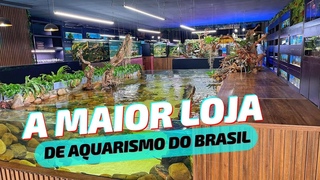 TOUR PELA MAIOR LOJA DE AQUARISMO DO BRASIL !!!