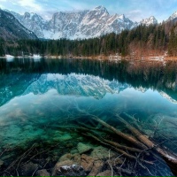 Наталья Малафеева |