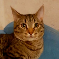 Надежда Мясникова |