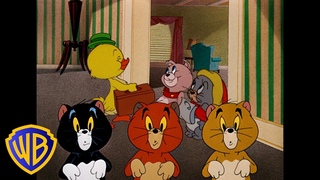 Tom & Jerry | Cutest Little Animals! 🐣🐱🐶 | Classic Cartoon Compilation | @wbkids​