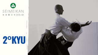 Aikido - Exame de faixa - 2 kyu