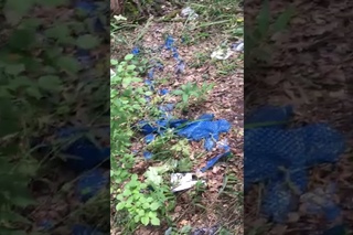Посылки нашли в лесу под Липецком