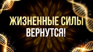 Внутренние ОРГАНЫ и Системы ВОССТАНОВЯТСЯ! | исцеляющая медитация