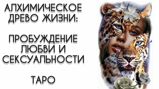 ТароОСТОРОЖНОПробуждение ВЗРЫВООПАСНОЭнергии единства и силыМощный толчок в твоём развитии