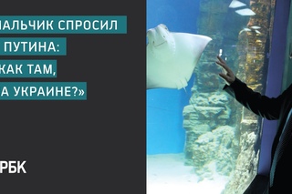 Мальчик спросил у Путина: «Как там на Украине?»