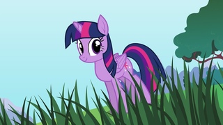 Pony Girl