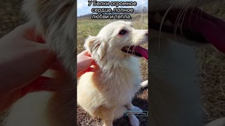 Ручки, где вы