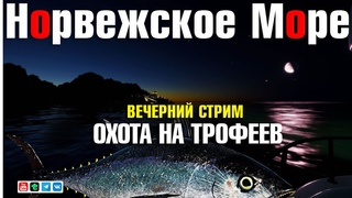 Вечерний СТРИМ  Охота на трофеев  Русская Рыбалка 4  Норвежское Море